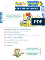 Las Plantas Medicinales para Tercer Grado de Primaria