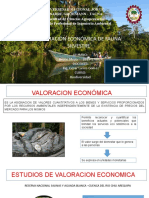 Valoracion Economica