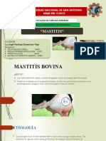 Mastitis - Vacunos