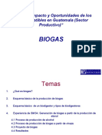 3 Panel I Biogas