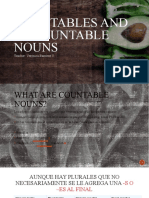 Countables and Uncountables Noun