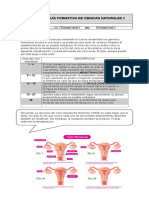 Guia Formativa Sexto Año El Ciclo Menstrual