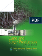 Cane and Sugar Production-Final PDF