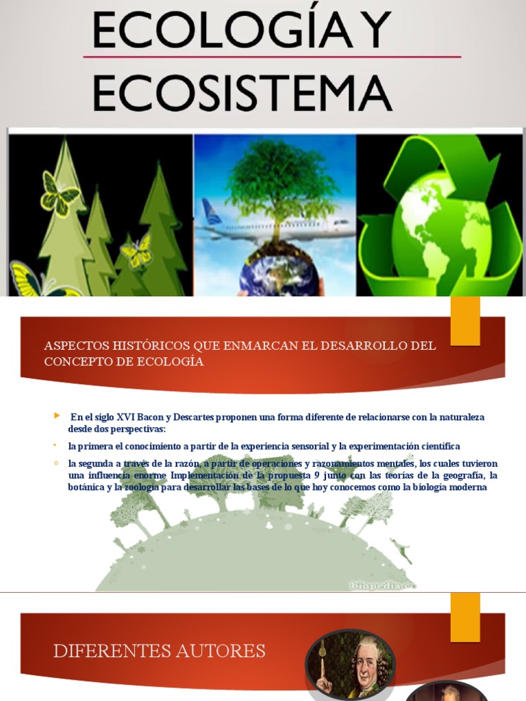 Ecologia y Ecosistema | PDF | Ecosistema | Ecología