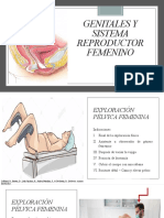 Genitales y Sistema Reproductor Femenino NRC 88640