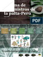 Cadena de suministros de la palta-Peru