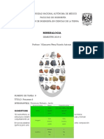 Resumen 6 Minerales