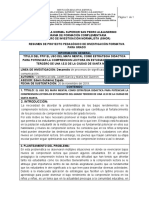 Formato Resumen Analítico PPIF 2019