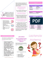 Lactancia Materna-Pubilco General PDF
