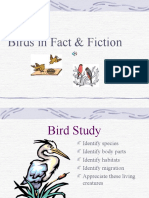 Birds in Fact & Fiction