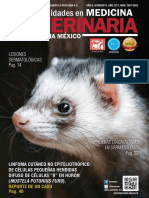 acmevez19.pdf