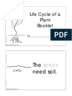 Life-Cycle-Of-A-Plant.pdf