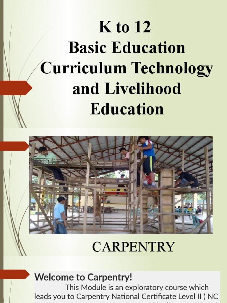 Carpentry Basics for K-12 Students | PDF | Drill | Carpentry