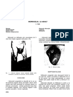 Vdocuments - MX - Angelescu Tratat de Patologie Chirurgicalahidrocel PDF