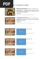 Sample Format Vocabulary Words