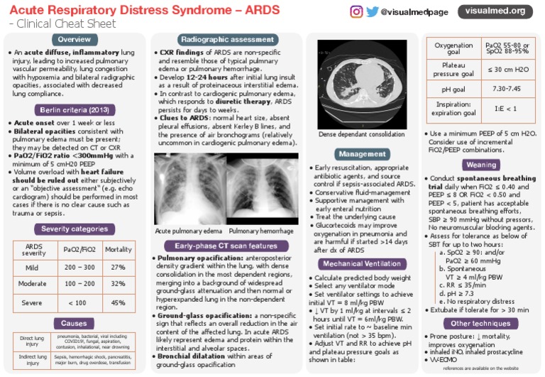 Clinical Cheat Sheet: Radiographic Assessment | PDF | Pulmonology ...