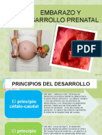 EMBARAZO Y DESARROLLO PRENATAL.pptx