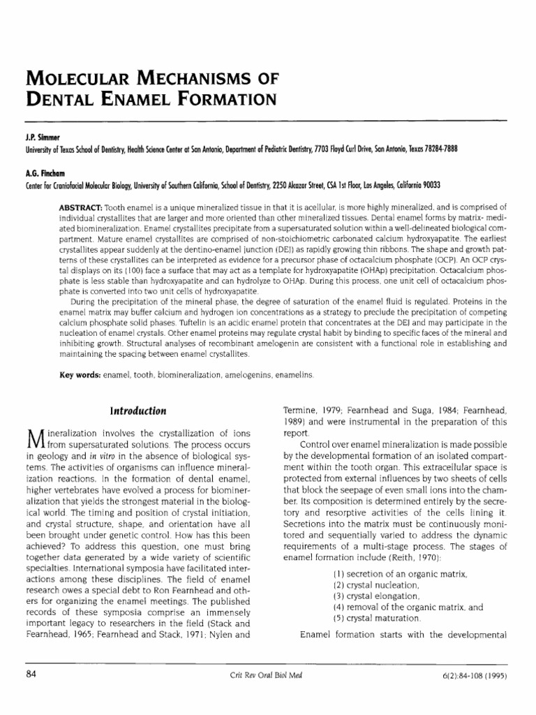 Molecular Mechanisms of Dental Enamel Formation | PDF | Tooth Enamel ...