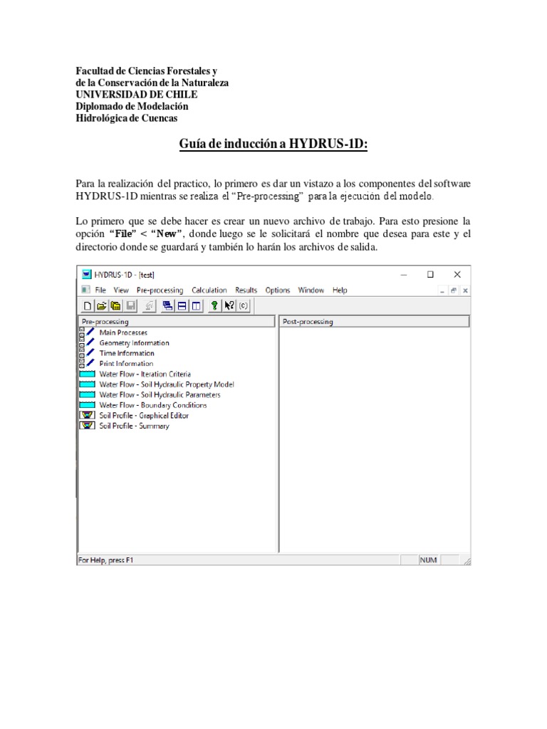 Guía de Inducción a HYDRUS-1D | PDF | Suelo | Agua