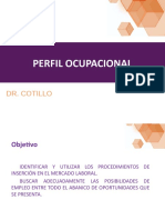 Perfil Ocupacional: Dr. Cotillo