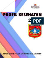 Profil Kesehatan 2018 Karangasem PDF