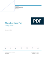 Marcellus Shale Play: Geology Review