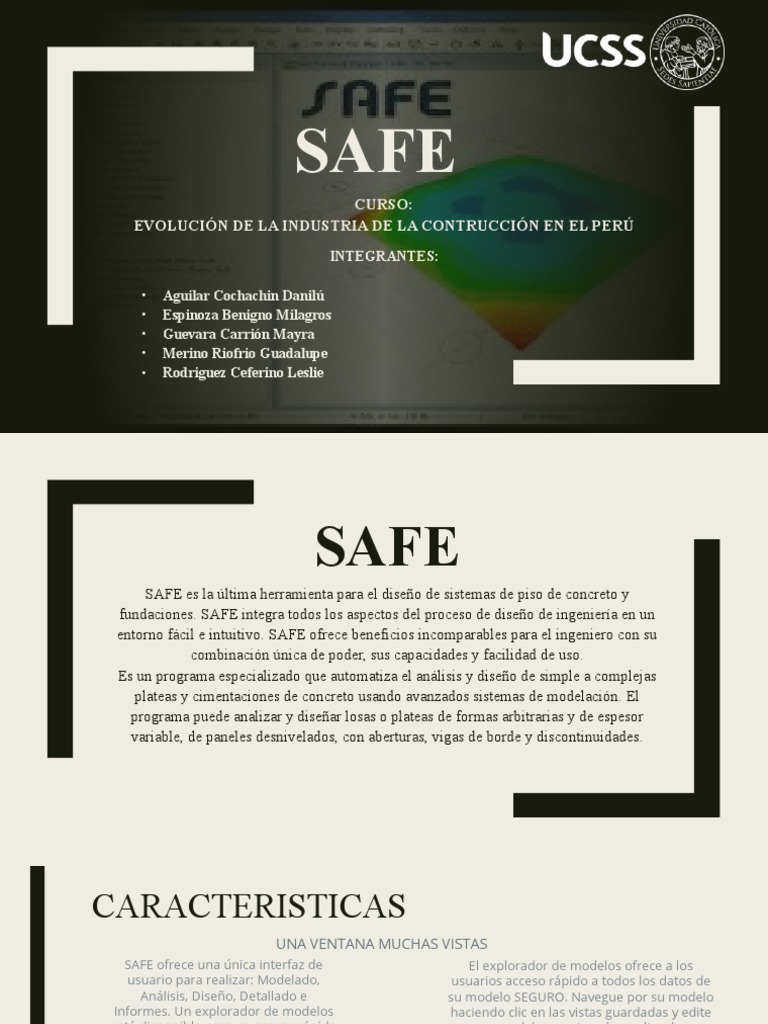 Safe | PDF | Software | Diseño