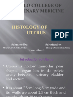 Histology of Uterus