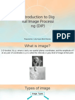 Introduction To Dig Ital Image Processi NG (DIP) : Prepared By: Laily Azyan Binti Ramlan