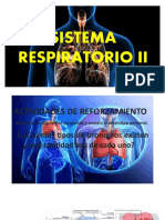 Sistema Respiratorio II
