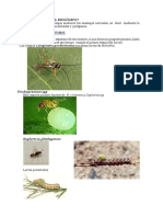 355682200-Que-Es-El-Control-Biologico-PDF.pdf