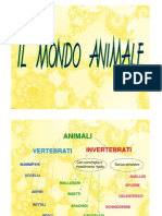 Presentazione Animali