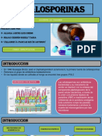 Grupo Jueves Cefalosporinas Rojas Cerron, Aliaga Arcos, Villanueva Paucar PDF