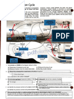 Mining of Coal Not Visible?: Respiration, Decomposition, Oxidation, Combustion Carbon Dioxide Gas