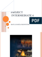 Project Intermediate 4: Raul Loayza Manotupa