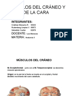 Diapositiva de Los M. Del Craneo y de La Cara Original