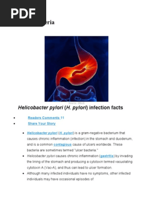 Helicobacter Pylori H Pylori Infection Facts Probiotic Indigestion