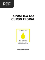 Apostila FDDE