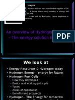 Hydrogen Fuel Cell