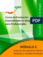Formacion especializada en BIOgas.pdf