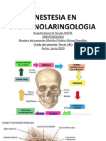 Anestesia Otorrino