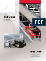 Catalogo Ricelake Belt Scale PDF