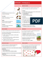 4.1 Species - Ecosystems - En.es PDF