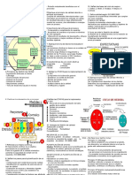 Resumen Gestion