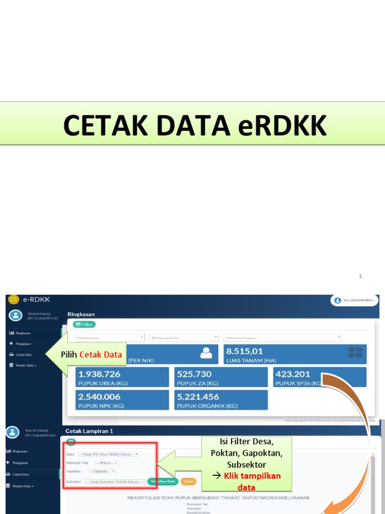 Panduan Cetak Data eRDKK PDF | PDF