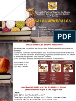 Grupo 4 - Sales Minerales PDF