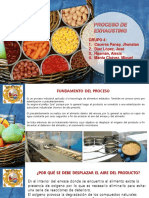 Grupo 4 - Proceso Exhausting PDF