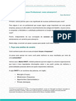 Material Complementar - Sucesso Profissional