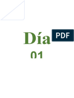 FORMATO DIA.docx