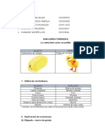 Grupo 6 Analogias